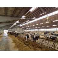 HAWKEYE 1 UFO LED 120W/150W/200W 4000K, 18.000-30.000lm, dimmbar - IP65