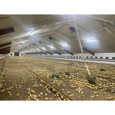 VIKING ULTRAFLEX DIM, 40W/1200mm 4000K 7200LM - IP66 – 0-10V 5G 2,5mm² cable pasante