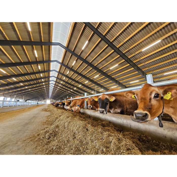 VIKING ULTRAFLEX DIM, 40W/1200mm 4000K 7200LM - IP66 –  0-10V 5G 2,5mm2 wire-through