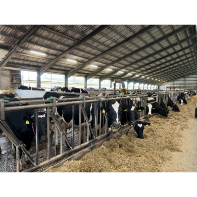 VIKING ULTRAFLEX DIM, 40W/1200mm 3/4/5700K 7000LM - IP66 – 0-10V 5G 2,5mm2 gennemfortrådet