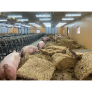 MODULAR-LIGHT 18W/1200mm 4000K - P&P3 - IP69K Triac Dæmpbar - Flickerfree MODULAR-LIGHT 18W/1200mm 4000K - P&P3 - IP69K Triac Dæmpbar - Flickerfree