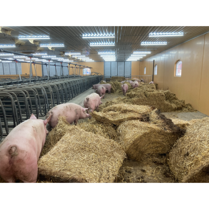 MODULAR-LIGHT 18W/1200mm 2700/4000/6000K - P&P3 - IP69K Triac Dimmable - Flickerfree