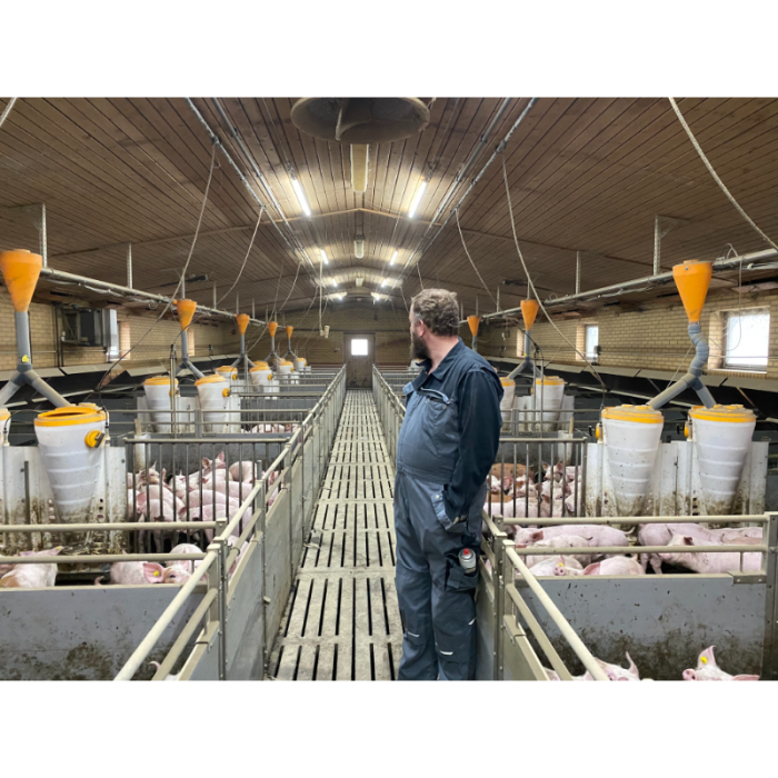 FARM-LIGHT 36W/1500mm 4000K - P&P3 - IP69K Triac Regulable - Sin Parpadeos - 190°