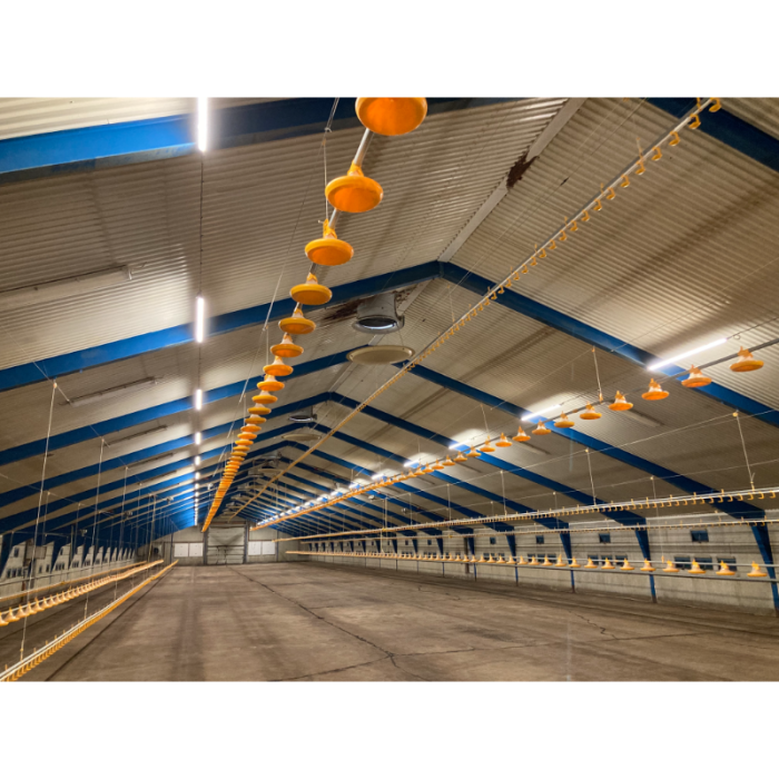 FARM-LIGHT 36W/1500mm 4000K - P&P3 - IP69K Triac Regulable - Sin Parpadeos - 190°