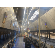 FARM-LIGHT 36W/1500mm 4000K - P&P3 - IP69K Triac Dimmbar - Flackerfrei - 190°