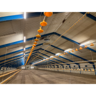 FARM-LIGHT 36W/1500mm 4000K - P&P3 - IP69K Triac Dimbar - Flickerfree