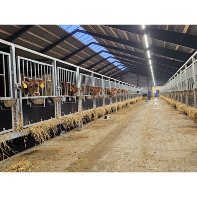 MODULAR-LIGHT 18W/1200mm 4000K - P&P3 - IP69K Triac Dæmpbar - Flickerfree MODULAR-LIGHT 18W/1200mm 4000K - P&P3 - IP69K Triac Dæmpbar - Flickerfree