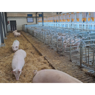 MODULAR-LIGHT 18W/1200mm 2700/4000/6000K - P&P3 - IP69K Triac Dimmable - Flickerfree