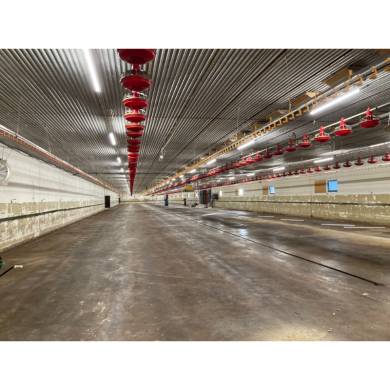 MODULAR-LIGHT 25W/1500mm 4000K - P&P3 - IP69K Triac Dæmpbar -Flickerfree MODULAR-LIGHT 25W/1500mm 4000K - P&P3 - IP69K Triac Dæmpbar -Flickerfree