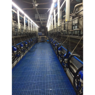 MODULAR-LIGHT 72W/3000mm 4000K - P&P3 - IP69K Triac Dimbar - Flickerfree