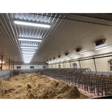 VIKING ARMATUR 25-40W/1200mm 4000K 0-10V Dæmpbar LED - IP66 Gennemfortrådet