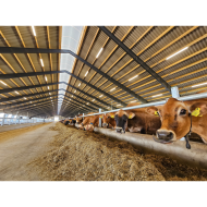 VIKING ARMATUR 50-62W/1500mm 5700K 0-10V Dæmpbar LED - IP66 Gennemfortrådet