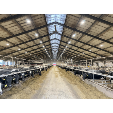 STEALTH P&P5 LED SPANDELAMPE 200W 4000/5000/5700K - IP69K STEALTH P&P5 LED SPANDELAMPE 200W 4000/5000/5700K - IP69K