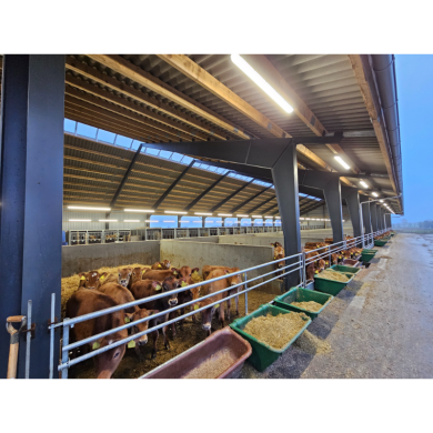 MODULAR-LIGHT 36W/3000mm 6000K - P&P3 - IP69K Triac Dimmbar - Flackerfrei MODULAR-LIGHT 36W/3000mm 6000K - P&P3 - IP69K Triac Dimmbar - Flackerfrei