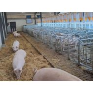 RNS Fertility-Light complete - Farm-Light 25W/6000K - Per meter RNS Fertility-Light complete - Farm-Light 25W/6000K - Per meter