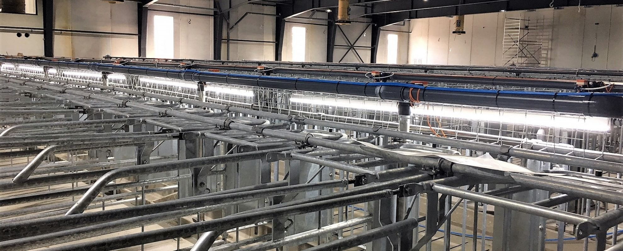 Robuste LED armaturer til grisestalde fra RN Solutions