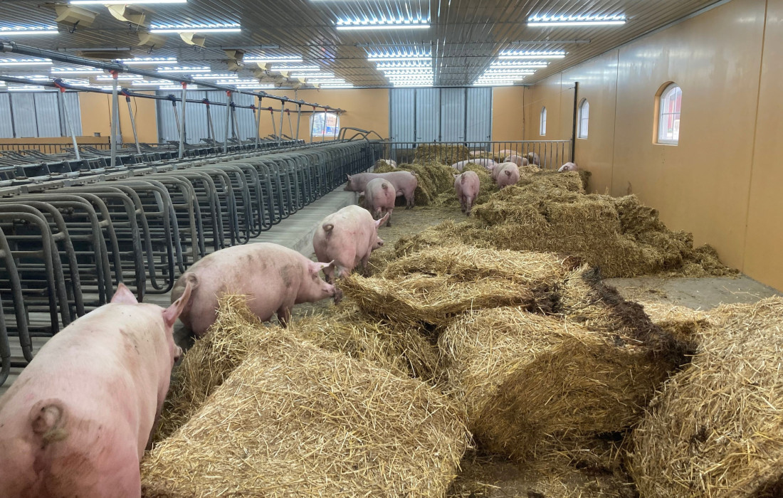 Nyt lys behøver ikke være en stor investering